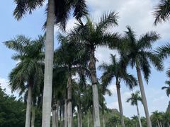 -南宁花花大世界景区