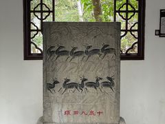-上海醉白池公园