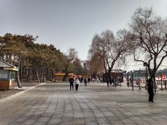 -长春市南湖公园