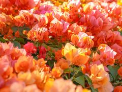 -天河客运站(地铁站)