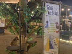 -DGE季风钓虾营地·团建·聚会