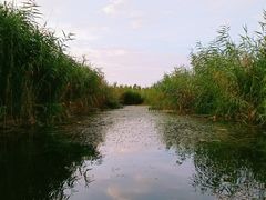 -白洋淀景区