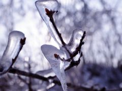 -中旅松花湖滑雪场