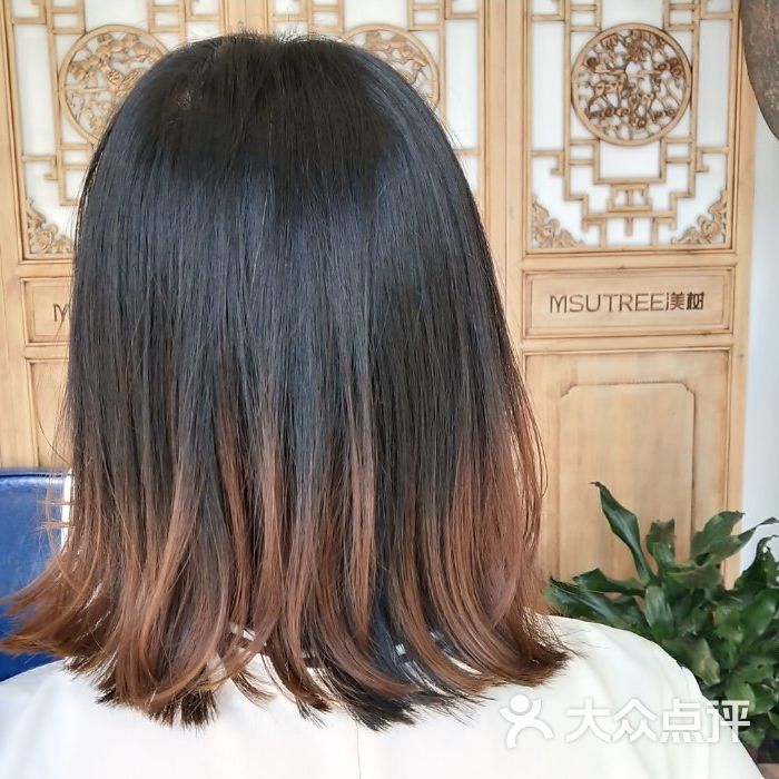 渼树msutree连锁沙龙图片-北京美发-大众点评网