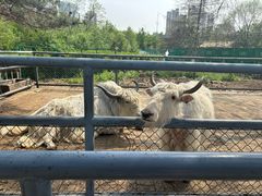 -长白岛森林公园