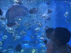 -顺德南宏海立方海洋公园