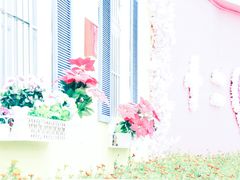 -玫瑰海岸文化旅游度假区