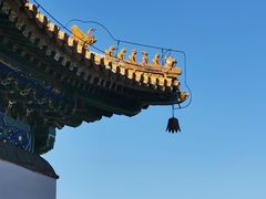 -颐和园