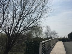 -九里河湿地公园