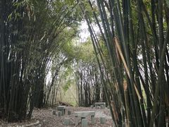 -桤木河湿地公园