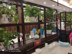 -陈家老院子(高新店)