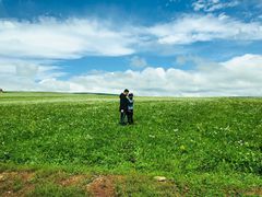 -空中草原