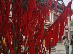 -西安青龙寺遗址景区