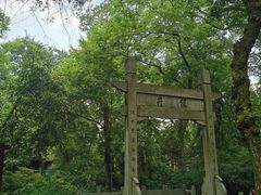 -龙井壹号·茶缘山景宴(龙井村店)