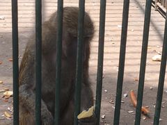 -秦皇岛野生动物园