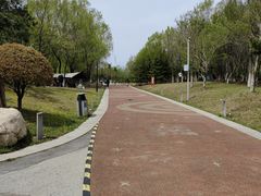-莫子山公园