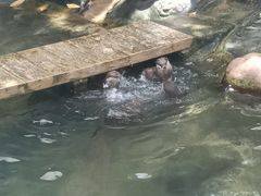 -香港海洋公园