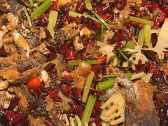 -老板恋上鱼(印象城店)