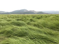 -落星墩