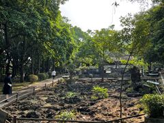 -海口火山口国家地质公园