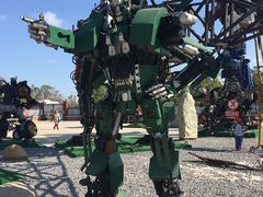 -上海长兴岛郊野公园