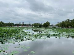 -长春市南湖公园