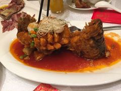 -红豆杉庄会议中心