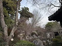 -梅园