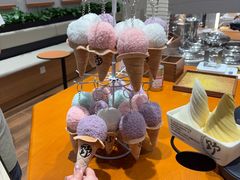 -野人先生现做冰淇淋(北京环宇荟店)