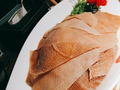 -九鼎轩脆毛肚火锅(三钢里店)