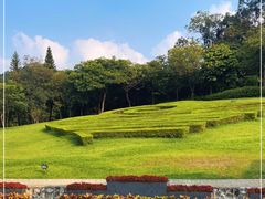 -广州市白云山风景名胜区