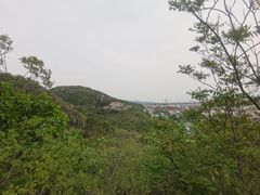-府君山公园