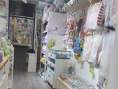 -读宠于你·约克夏比熊·睫角守宫·爬宠售卖(高新店)