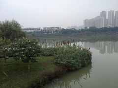 -眉山湿地公园(东坡区)