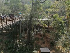 -野象谷景区