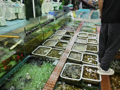 -景好海鲜餐厅(大鹏必选旅游店)