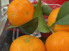 -烧哥美蛙肥肠鱼火锅·十五年社区店