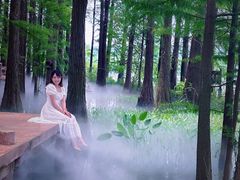 -东湖落雁景区