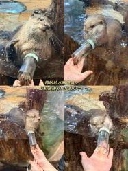 -Zoolung Zoolung动物主题公园(海信广场店)