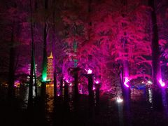 -桂林两江四湖景区