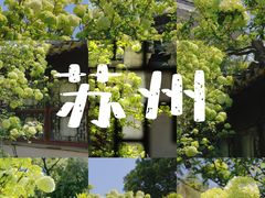 -沧浪亭
