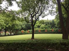 -上海交通大学医学院附属瑞金医院(总院)