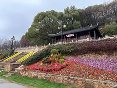 -苏州上方山国家森林公园