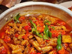 -杨氏青龙虾·羊蝎子(金盛路总店)