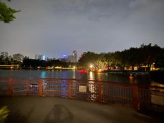 -荔湾湖公园