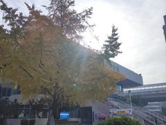 -西南交通大学(九里校区)