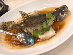 清蒸石斑-金城大酒店-中餐厅(汾江中路店)