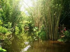 -大屏嶂森林公园
