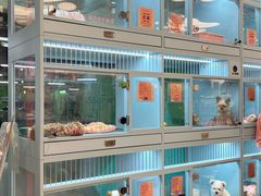 -FAELING PETS美天灵宠物(合生汇店)