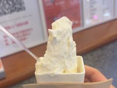 -野人先生Gelato(上海长宁龙之梦店)